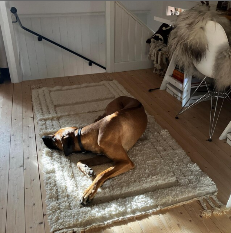White Moroccan Rug