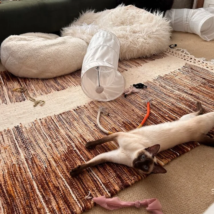 Brown Moroccan Rug